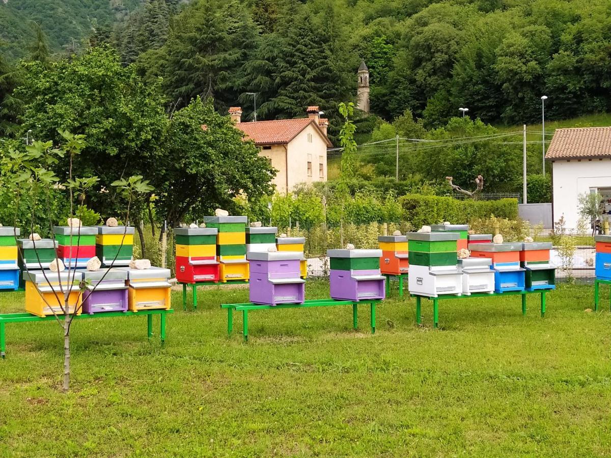 Residence Gonda&Giuliano Borso del Grappa Dış mekan fotoğraf